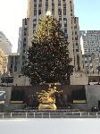 IMG_3646.JPG