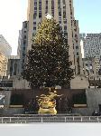 IMG_3647.JPG