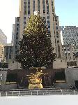 IMG_3649.JPG
