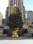 IMG_3650.JPG