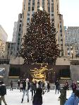 IMG_3723.JPG