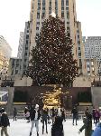 IMG_3724.JPG