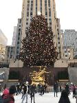 IMG_3725.JPG
