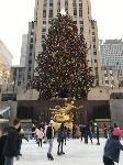 IMG_3728.JPG