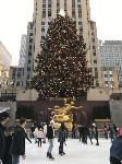 IMG_3729.JPG
