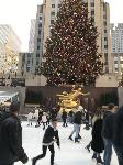 IMG_3732.JPG