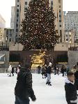 IMG_3734.JPG