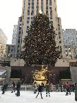 IMG_3738.JPG