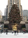 IMG_3739.JPG