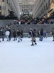 IMG_3867.JPG