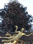 IMG_3907.JPG