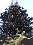 IMG_3909.JPG