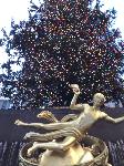 IMG_3913.JPG