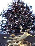 IMG_3914.JPG