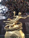 IMG_3917.JPG