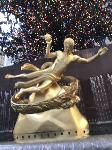 IMG_3918.JPG