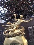IMG_3920.JPG