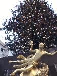 IMG_3924.JPG