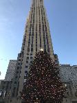 IMG_3929.JPG