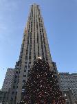 IMG_3931.JPG