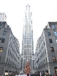 IMG_3964.JPG