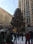 IMG_7696.JPG