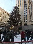 IMG_7698.JPG