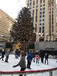 IMG_7702.JPG