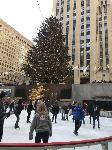 IMG_7704.JPG