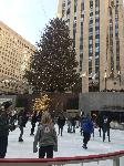 IMG_7705.JPG