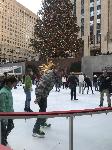 IMG_7710.JPG