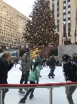 IMG_7715.JPG