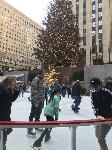 IMG_7716.JPG