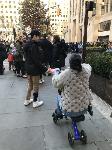 IMG_3483.JPG