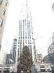 IMG_3508.JPG