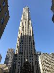 IMG_3511.JPG