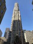 IMG_3512.JPG