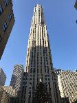 IMG_3513.JPG
