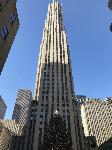 IMG_3514.JPG