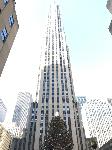 IMG_3515.JPG
