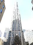 IMG_3516.JPG
