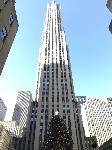 IMG_3518.JPG