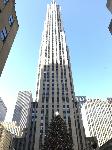 IMG_3519.JPG