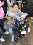 IMG_3528.JPG