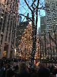 IMG_3985.JPG