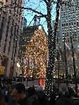 IMG_3988.JPG