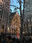 IMG_3989.JPG