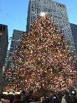 IMG_3996.JPG