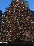 IMG_3998.JPG