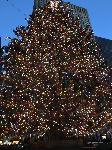 IMG_3999.JPG